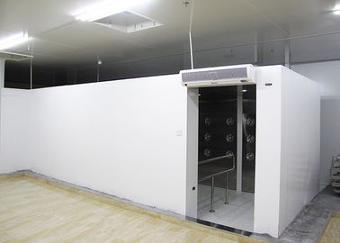90 Degree Turn Personnel Air Shower Tunnel  ,  Clean Room Equipments With Painted Steel Material